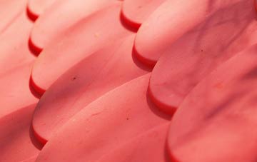 Sweet Green plastic roof costs