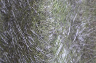 Sweet Green fibreglass roof work